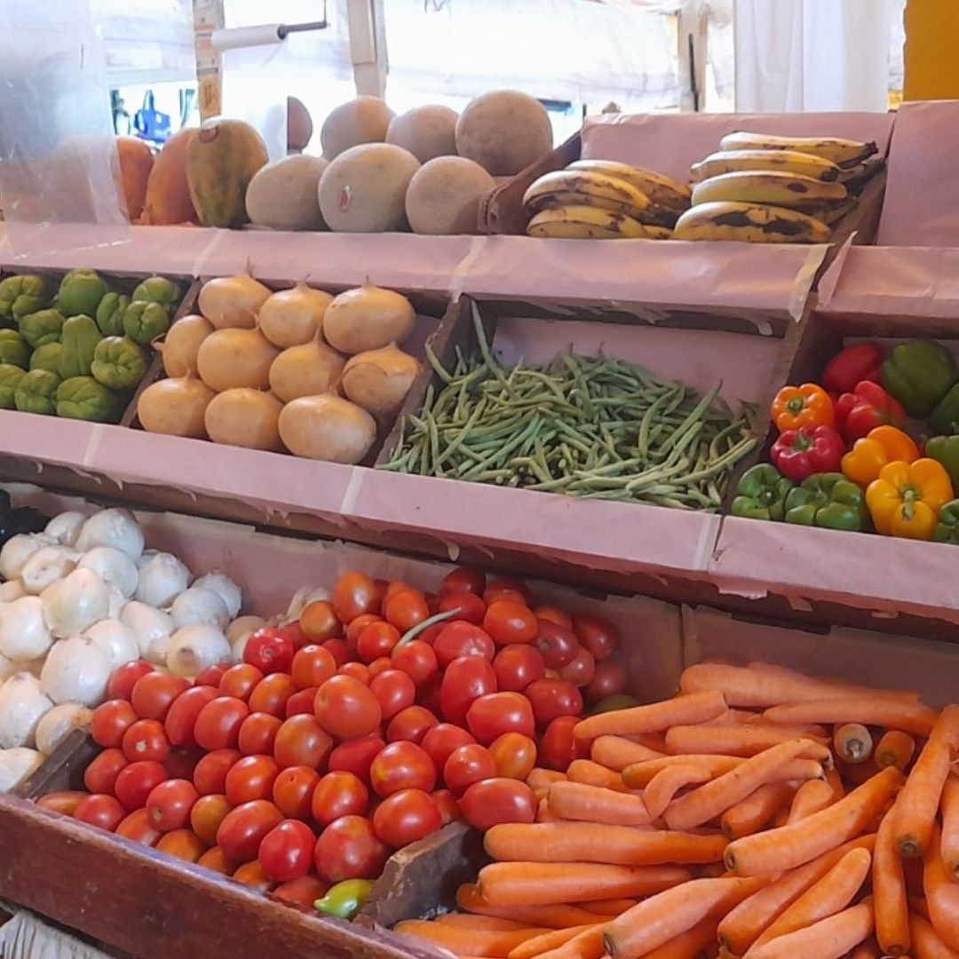 Crisis del Tomate ya Provoca Pérdida de Empleos en SLP
